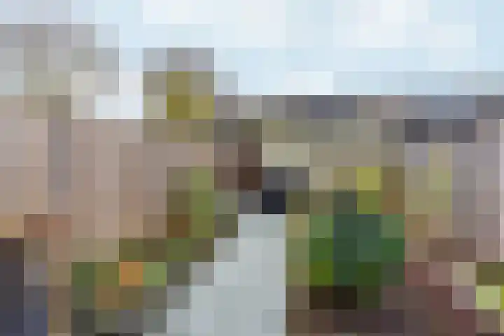 Peppelenwei 57 Arnhem thumbnail 51