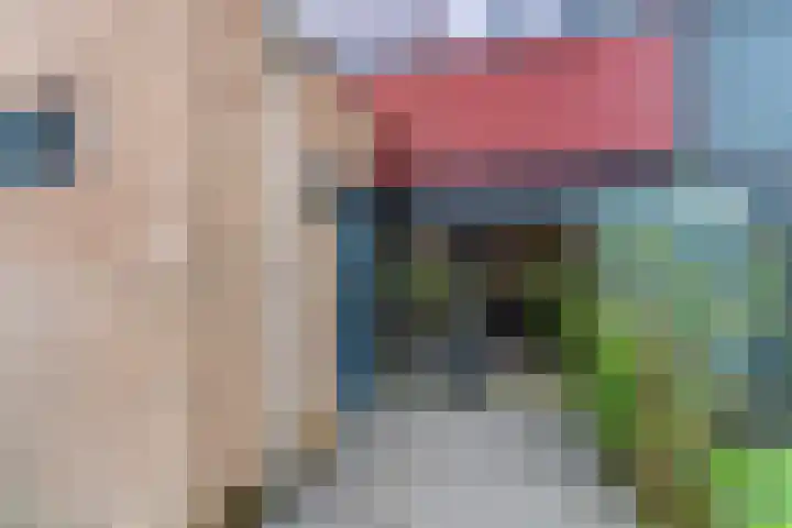 Peppelenwei 57 Arnhem thumbnail 62