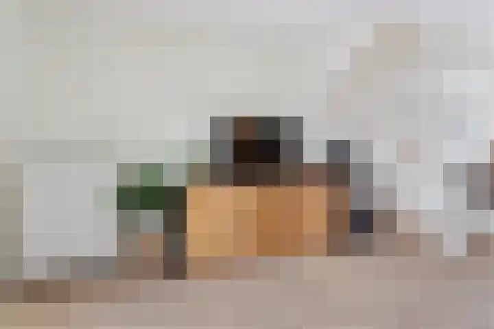 Peppelenwei 57 Arnhem thumbnail 8