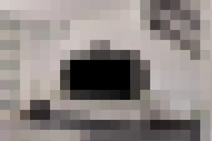 Peppelenwei 65 Arnhem thumbnail 12