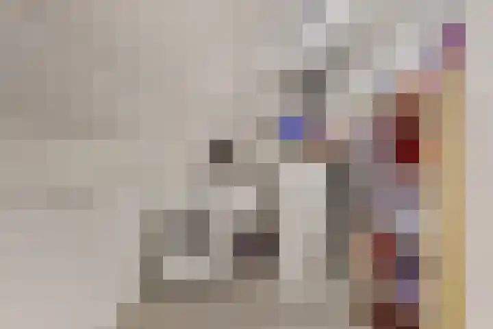 Peppelenwei 65 Arnhem thumbnail 26