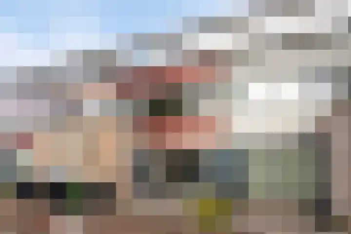 Peppelenwei 65 Arnhem thumbnail 6