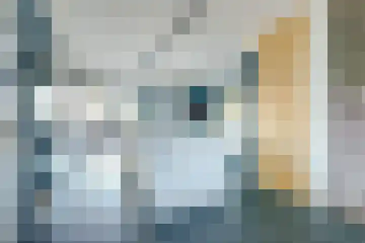 Peppelenwei 97 Arnhem thumbnail 17