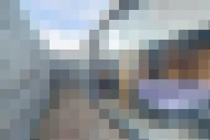 Peppelenwei 97 Arnhem thumbnail 48