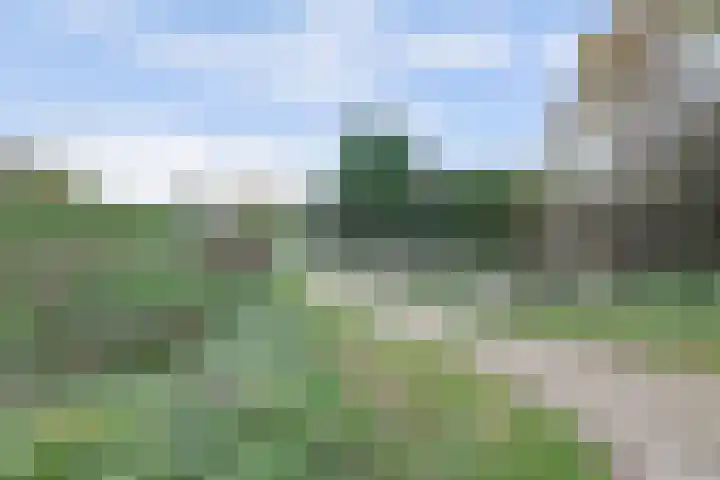 Peppelenwei 97 Arnhem thumbnail 49