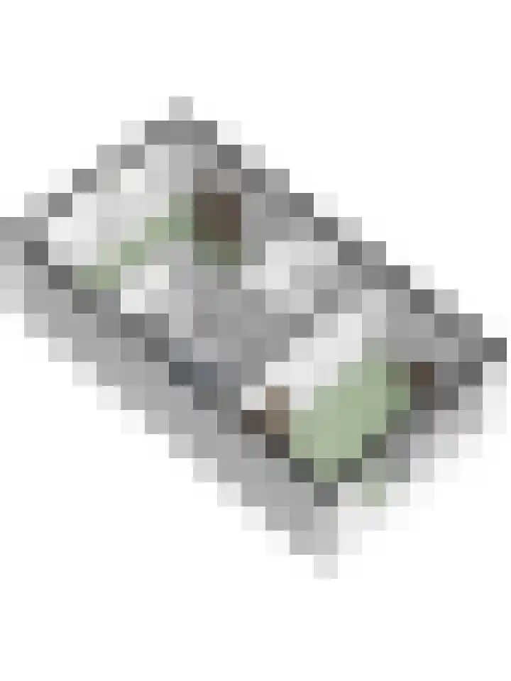 Peppelenwei 97 Arnhem thumbnail 62
