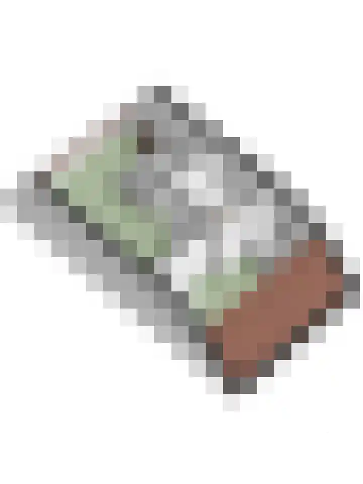 Peppelenwei 97 Arnhem thumbnail 64