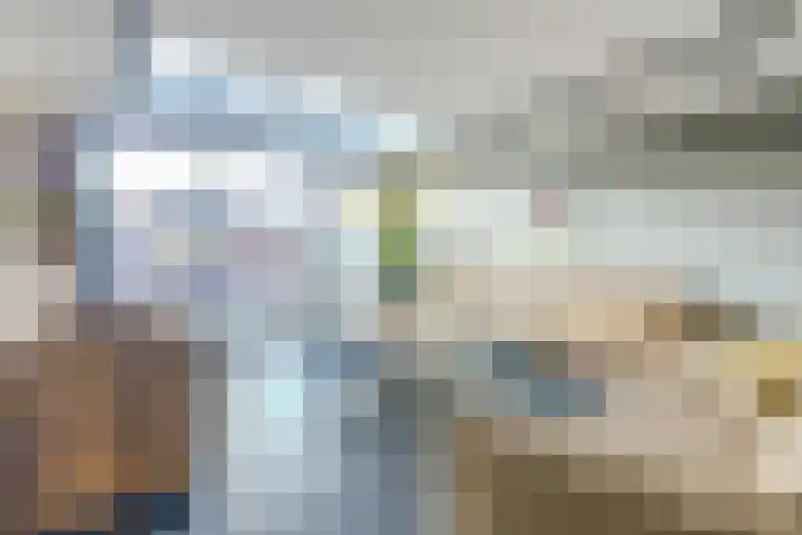 Peppelenwei 97 Arnhem thumbnail 7