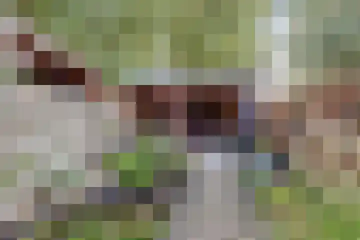 Peppelhof 11 Gendt thumbnail 21