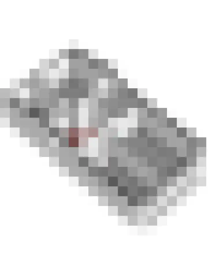 Peppelhof 11 Gendt thumbnail 51