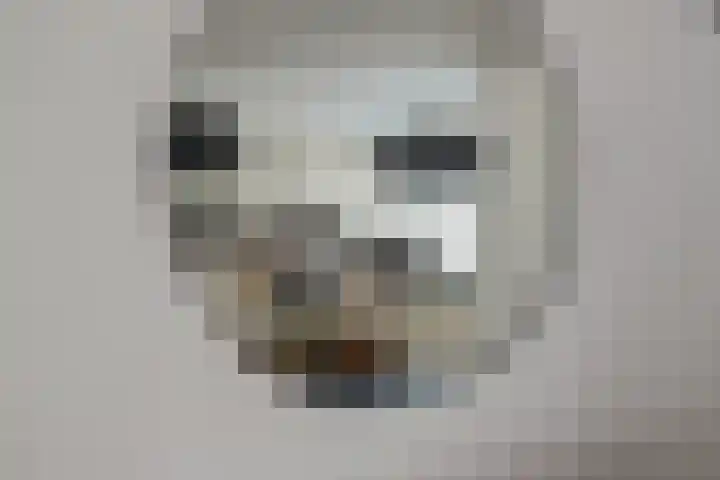 Peppelhof 20 Gendt thumbnail 16
