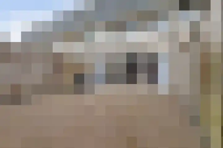 Peppelhof 20 Gendt thumbnail 25