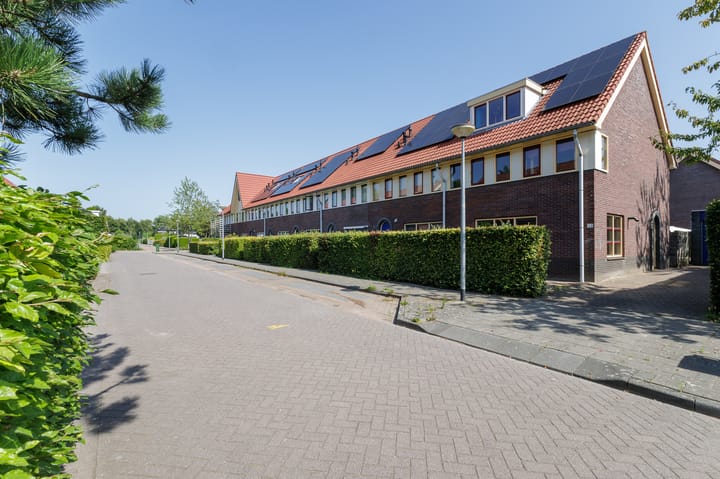 Peppeling 50 in Hoogezand foto