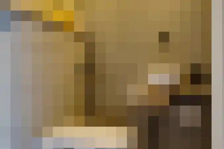 Peppeling 57 Hoogezand thumbnail 15