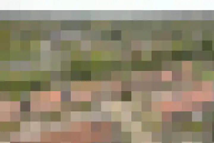 Peppeling 57 Hoogezand thumbnail 6