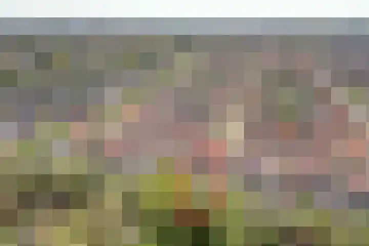Peppeling 57 Hoogezand thumbnail 7