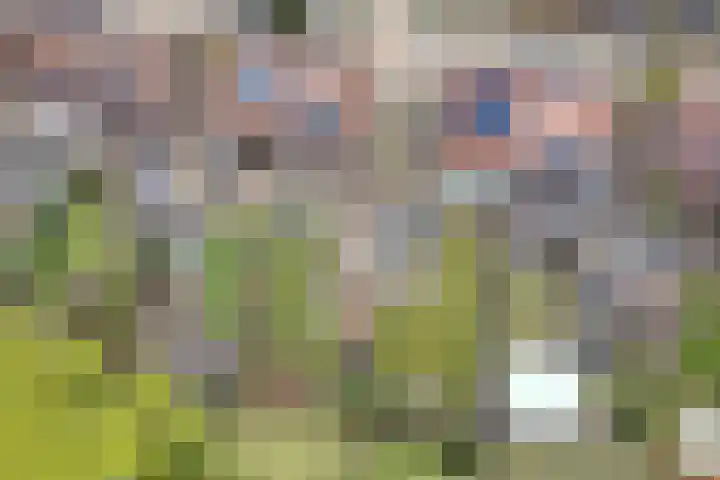 Peppeling 57 Hoogezand thumbnail 9