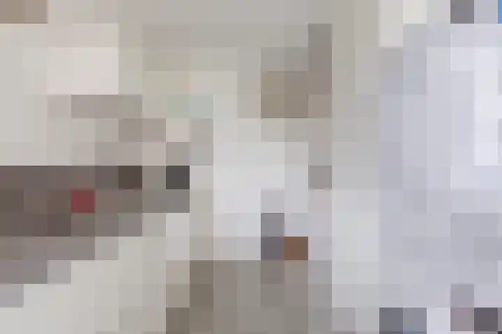 Peppelschans 11 Leiderdorp thumbnail 18