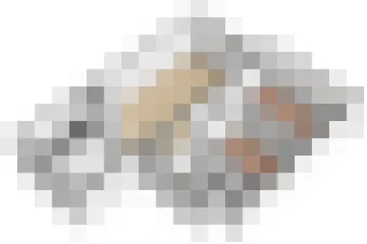 Peppelschans 11 Leiderdorp thumbnail 36