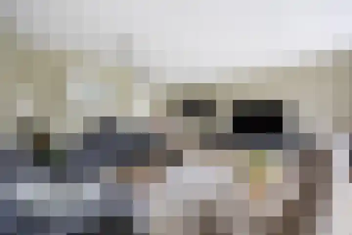 Peppelveld 4 Beneden-Leeuwen thumbnail 17