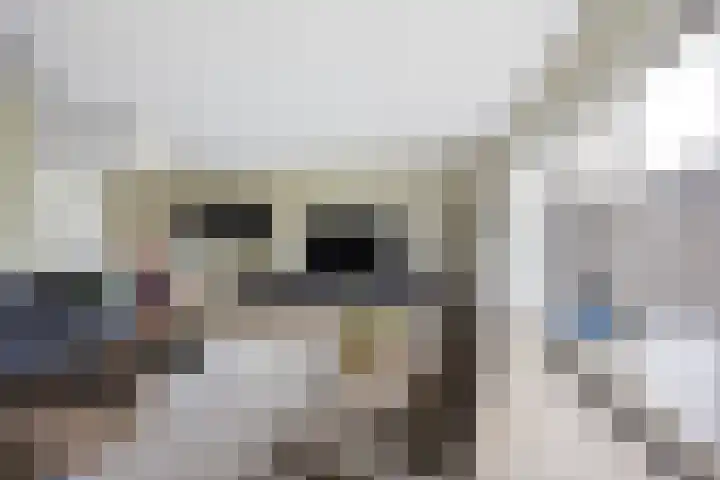 Peppelveld 4 Beneden-Leeuwen thumbnail 18