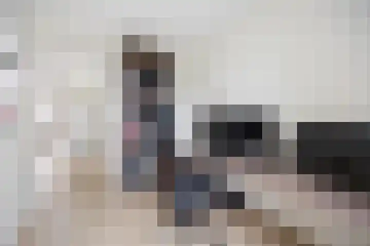 Peppelveld 4 Beneden-Leeuwen thumbnail 33