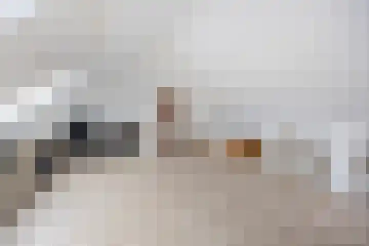Peppelveld 4 Beneden-Leeuwen thumbnail 37
