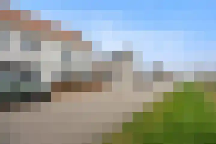 Peppelveld 4 Beneden-Leeuwen thumbnail 51