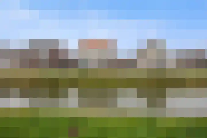 Peppelveld 4 Beneden-Leeuwen thumbnail 53