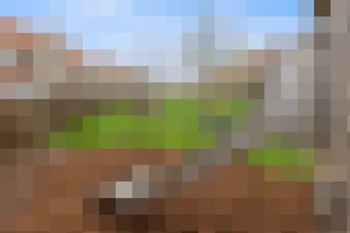 Peppelveld 4 Beneden-Leeuwen thumbnail 55