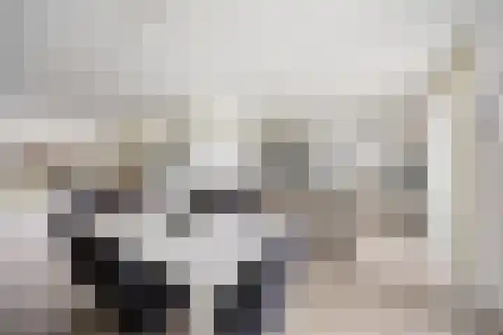 Peppelveld 4 Beneden-Leeuwen thumbnail 7