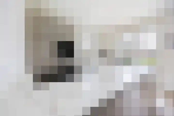Peppelveld 4 Beneden-Leeuwen thumbnail 8
