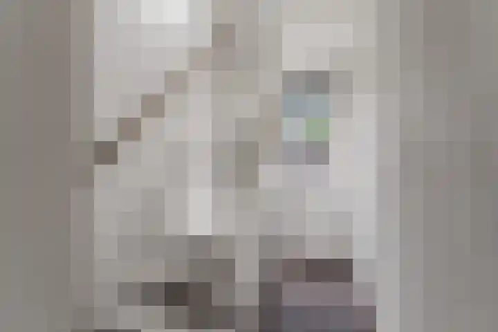 Peppengouw 173 Almere thumbnail 31