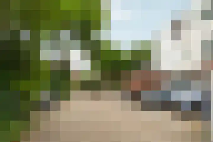 Peppengouw 173 Almere thumbnail 48