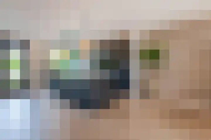 Peppengouw 206 Almere thumbnail 18