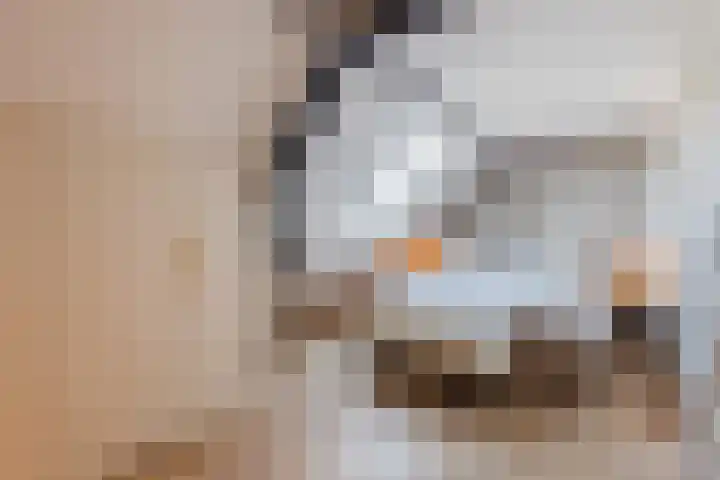 Peppengouw 206 Almere thumbnail 26