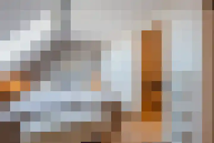Peppengouw 206 Almere thumbnail 27