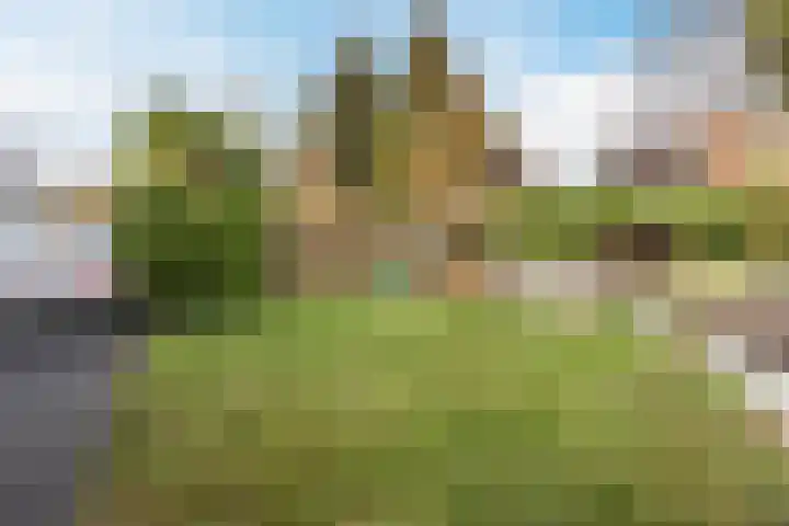 Peppengouw 206 Almere thumbnail 43