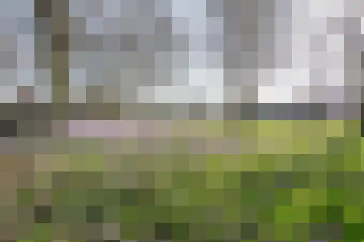 Peppengouw 206 Almere thumbnail 49
