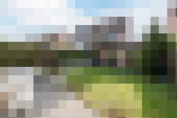 Peppengouw 206 Almere thumbnail 5