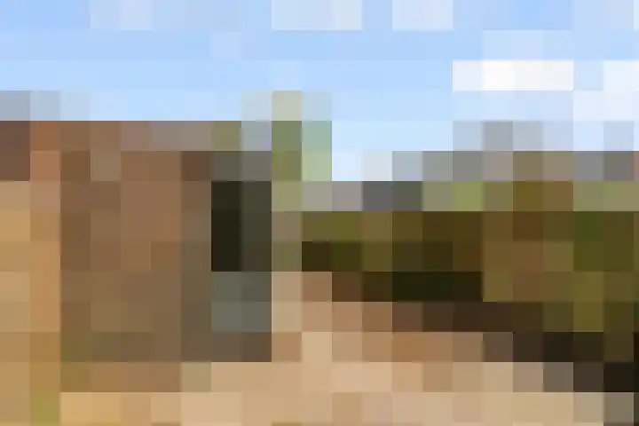 Peppengouw 33 Almere thumbnail 34