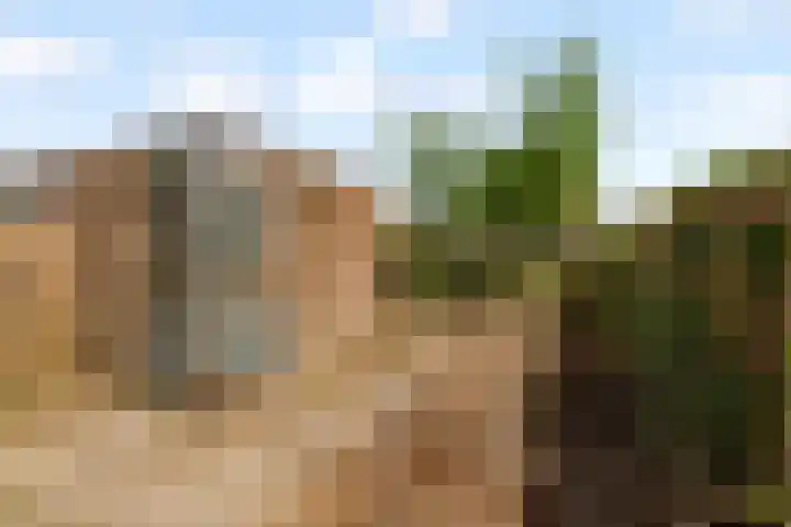 Peppengouw 33 Almere thumbnail 35