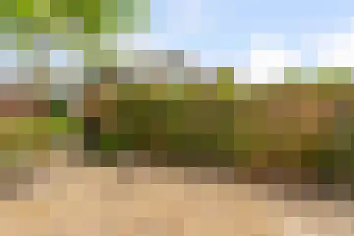 Peppengouw 33 Almere thumbnail 36