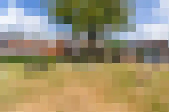 Peppengouw 33 Almere thumbnail 37
