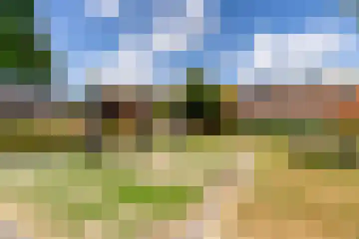 Peppengouw 33 Almere thumbnail 38