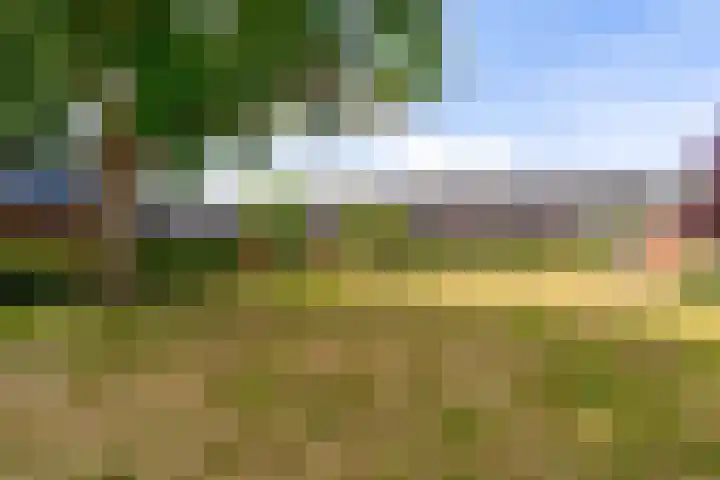 Peppengouw 33 Almere thumbnail 39