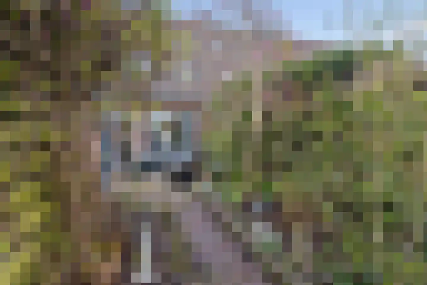 Peppengouw 50 Almere thumbnail 30