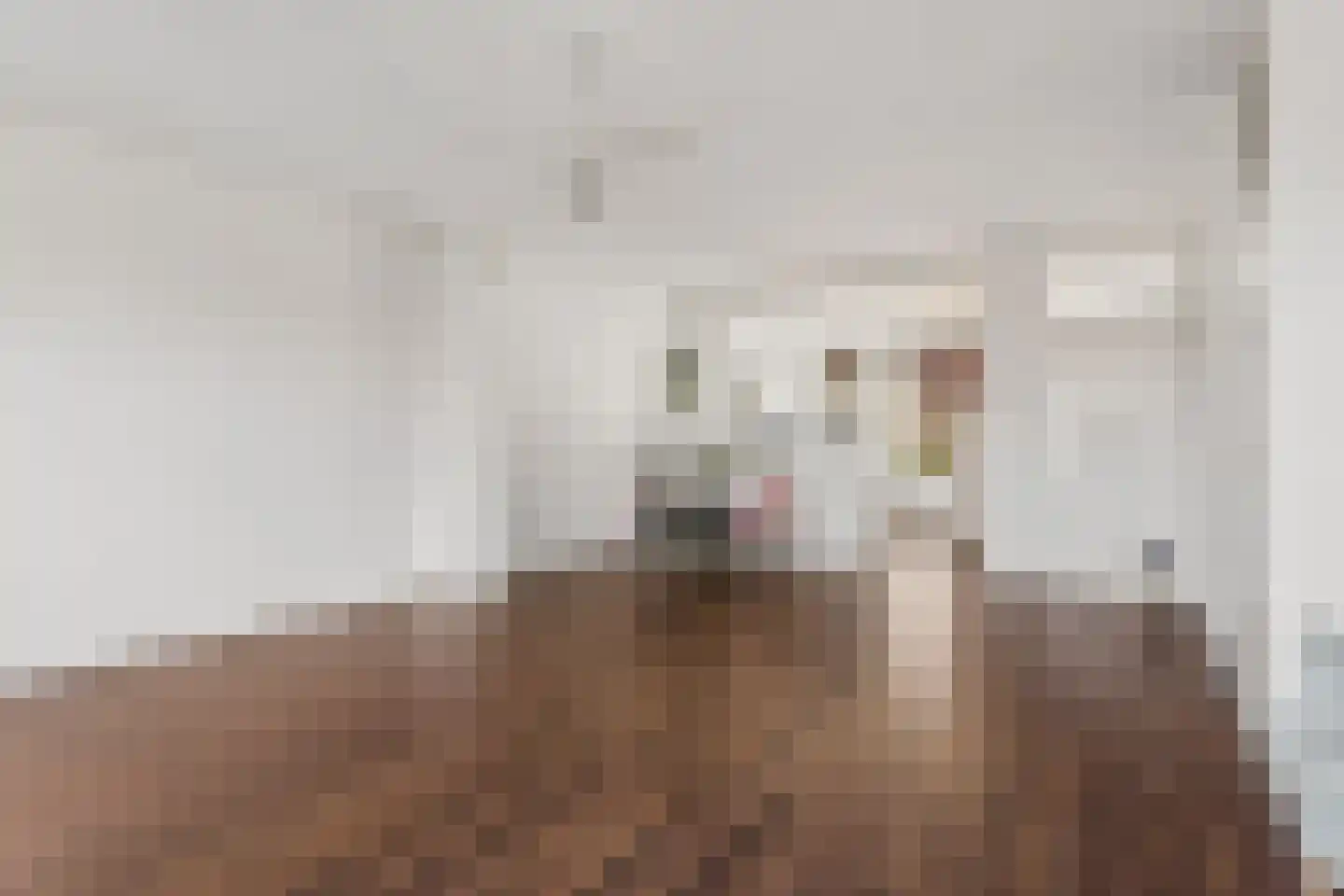 Peppengouw 50 Almere thumbnail 8