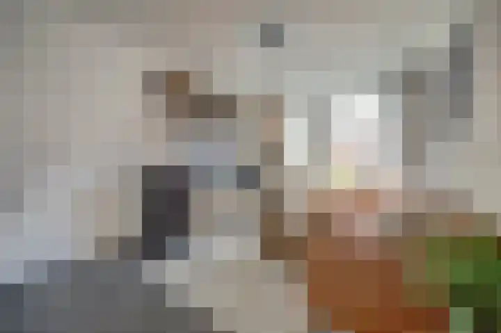 Peppengouw 98 Almere thumbnail 17