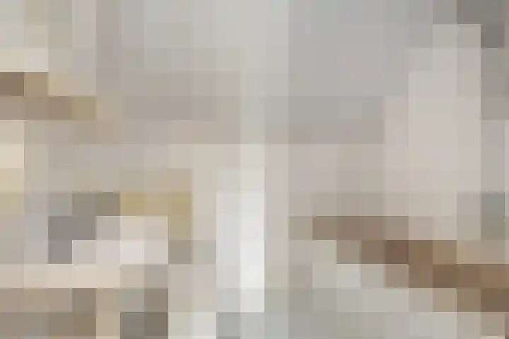 Perebomenweg 12 Elim thumbnail 12
